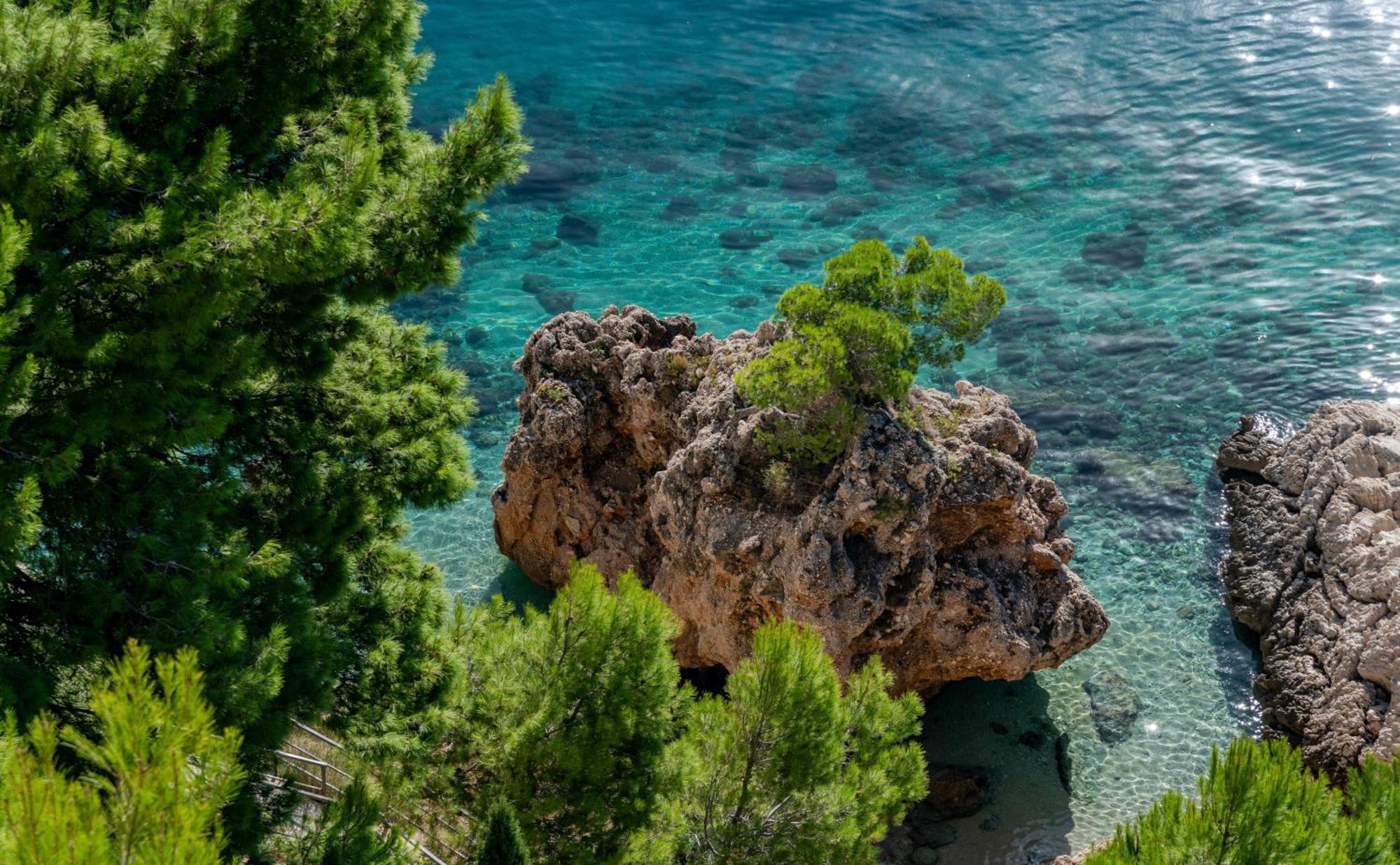Apartment Jana Marusici (Split-Dalmatia)
